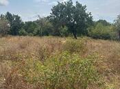 Продаётся  участок 500 сот, photo 8 from 8