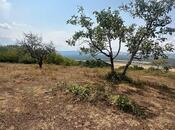 Продаётся  участок 500 сот, photo 4 from 8