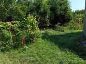 Продаётся 1-комн. дом/дача 100 м², photo 8 from 8