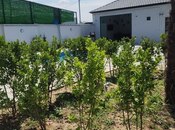 Satılır 5 otaqlı həyət evi/bağ evi 130 m², photo 4 from 8
