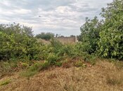 Продаётся  участок 50 сот, пос. Нардаран, photo 5 from 8