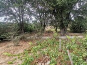 Продаётся  участок 50 сот, пос. Нардаран, photo 3 from 8