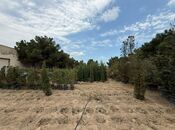 Satılır  torpaq 15.3 sot, Buzovna q., photo 6 from 8