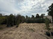 Satılır  torpaq 15.3 sot, Buzovna q., photo 8 from 8