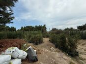 Satılır  torpaq 15.3 sot, Buzovna q., photo 5 from 8