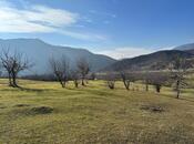 Elan №5437975 - Şamaxı, Şamaxı, 12 sot