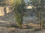 Satılır  torpaq 2 sot, Novxanı q., photo 5 from 5