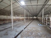 Объявление №5439813 - Баку, пос. Новханы, 4000 м²