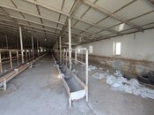 Продаётся  объект 4 000 м², пос. Новханы, photo 3 from 8