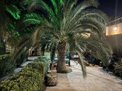 İcarəyə verilir 8 otaqlı həyət evi/bağ evi 700 m², Buzovna q., photo 3 from 8