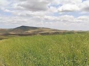 Elan №5444365 - Qobustan, Qobustan, 13500 sot