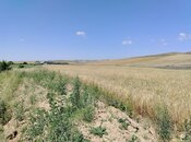 Продаётся  участок 13 500 сот, photo 2 from 4