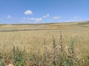 Продаётся  участок 13 500 сот, photo 3 from 4