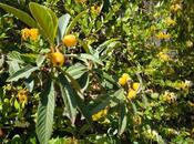 Продаётся 4-комн. дом/дача 130 м², пос. Фатмаи, photo 8 from 8