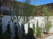 Satılır 7 otaqlı həyət evi/bağ evi 250 m², Əhmədli m., photo 4 from 8