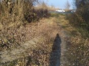 Продаётся  участок 1 300 сот, Хачмазский р., photo 5 from 5