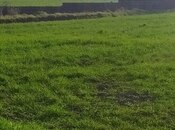 Продаётся  участок 1 300 сот, Хачмазский р., photo 2 from 5