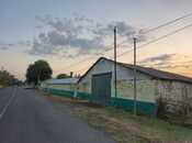 Satılır  obyekt 3 000 m², photo 7 from 8