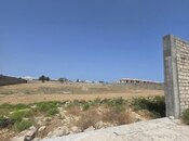 Продаётся  участок 84 сот, пос. Гала, photo 3 from 7