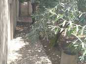 Сдаётся 2-комн. дом/дача 65 м², пос. Говсан, photo 2 from 8