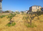 Продаётся  участок 10 сот, пос. Атъялы, photo 4 from 6