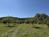 Satılır  torpaq 105 sot, photo 6 from 8