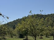 Satılır  torpaq 105 sot, photo 8 from 8