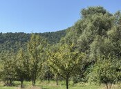 Satılır  torpaq 105 sot, photo 7 from 8