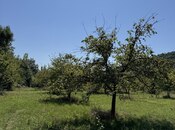 Satılır  torpaq 105 sot, photo 4 from 8