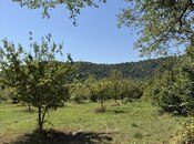 Satılır  torpaq 105 sot, photo 3 from 8