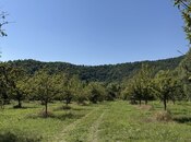 Satılır  torpaq 105 sot, photo 5 from 8