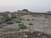 Satılır  torpaq 10 sot, Türkan q., photo 2 from 8