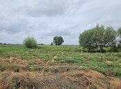 Satılır  obyekt 3 000 m², photo 6 from 8