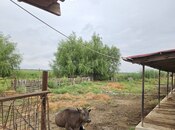 Satılır  obyekt 3 000 m², photo 7 from 8