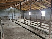 Satılır  obyekt 3 000 m², photo 5 from 8