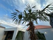 Продаётся 4-комн. дом/дача 110 м², пос. Мардакан, photo 4 from 8