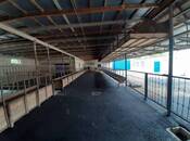 Satılır 8 otaqlı həyət evi/bağ evi 281 m², photo 8 from 8