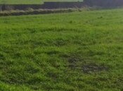 Объявление №5468200 - Хачмаз, Хачмаз, 1300 сот