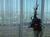 Продаётся 2-комн. новостройка 94 м², м. Элмляр Академиясы, photo 6 from 8