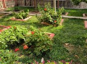 Satılır 6 otaqlı həyət evi/bağ evi 367 m², Köhnə Günəşli q., photo 3 from 8