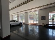 Сдаётся  объект 300 м², м. Низами, photo 4 from 8