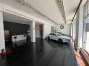 Сдаётся  объект 300 м², м. Низами, photo 7 from 8