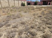 Satılır  torpaq 6 sot, Saray q., photo 7 from 8