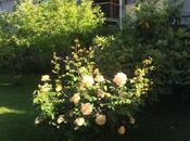 Satılır 7 otaqlı həyət evi/bağ evi 269 m², photo 3 from 8