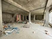 Сдаётся  объект 900 м², м. Сахил, photo 6 from 8