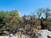 Продаётся 2-комн. вторичка 58 м², м. Мемар Аджеми, photo 3 from 8