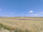 Elan №5481071 - Qobustan, Qobustan, 6216 sot