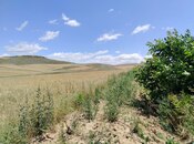 Elan №5481154 - Qobustan, Qobustan, 1780 sot