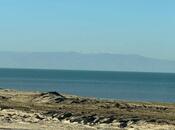 Продаётся  участок 12 сот, пос. Пиршаги, photo 5 from 8