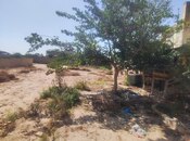 Продаётся  участок 12 сот, пос. Пиршаги, photo 3 from 8